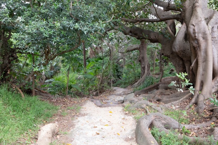 Photo of entry to Gap Park Rainforest