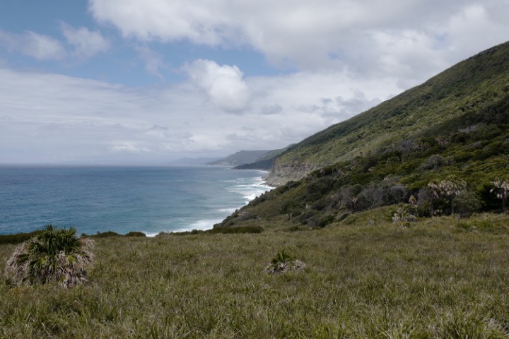 Photo of Coastal Track in Royal National Park